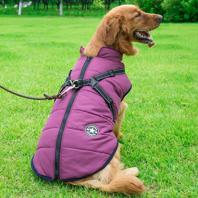 Winter Warm Hooded Coat Jacket Waterproof Outfits for Pet Dogs and Puppies